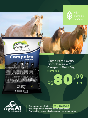 Oferta Dom Joaquim