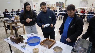CLASSIFICA&Ccedil;&Atilde;O DE GR&Atilde;OS: Colaboradores dos armaz&eacute;ns se preparam para a pr&oacute;xima safra 
