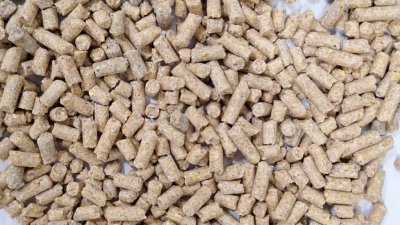 Ra&ccedil;&atilde;o Peletizada