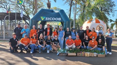 A&ccedil;&atilde;o em Tenente Portela