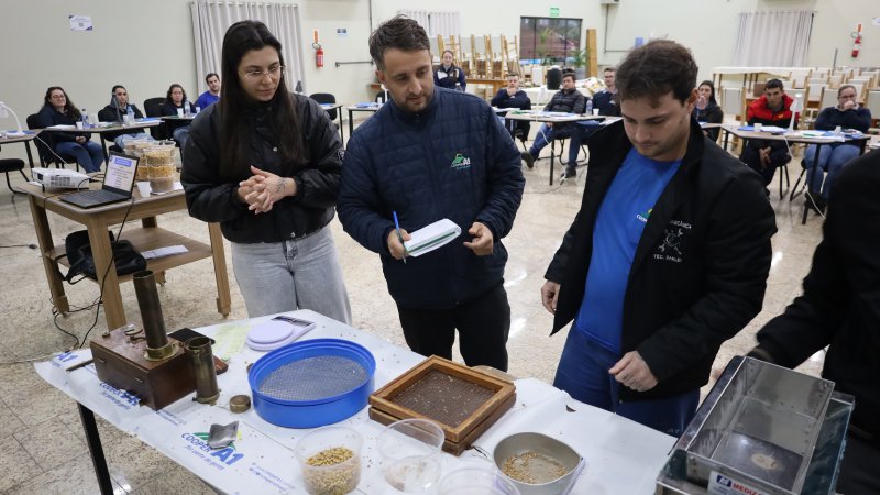 CLASSIFICA&Ccedil;&Atilde;O DE GR&Atilde;OS: Colaboradores dos armaz&eacute;ns se preparam para a pr&oacute;xima safra 