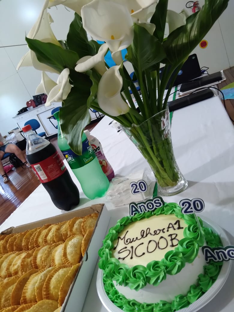 MULHER A1/SICOOB 20 ANOS: Roteiros de encontros resgata essência do programa