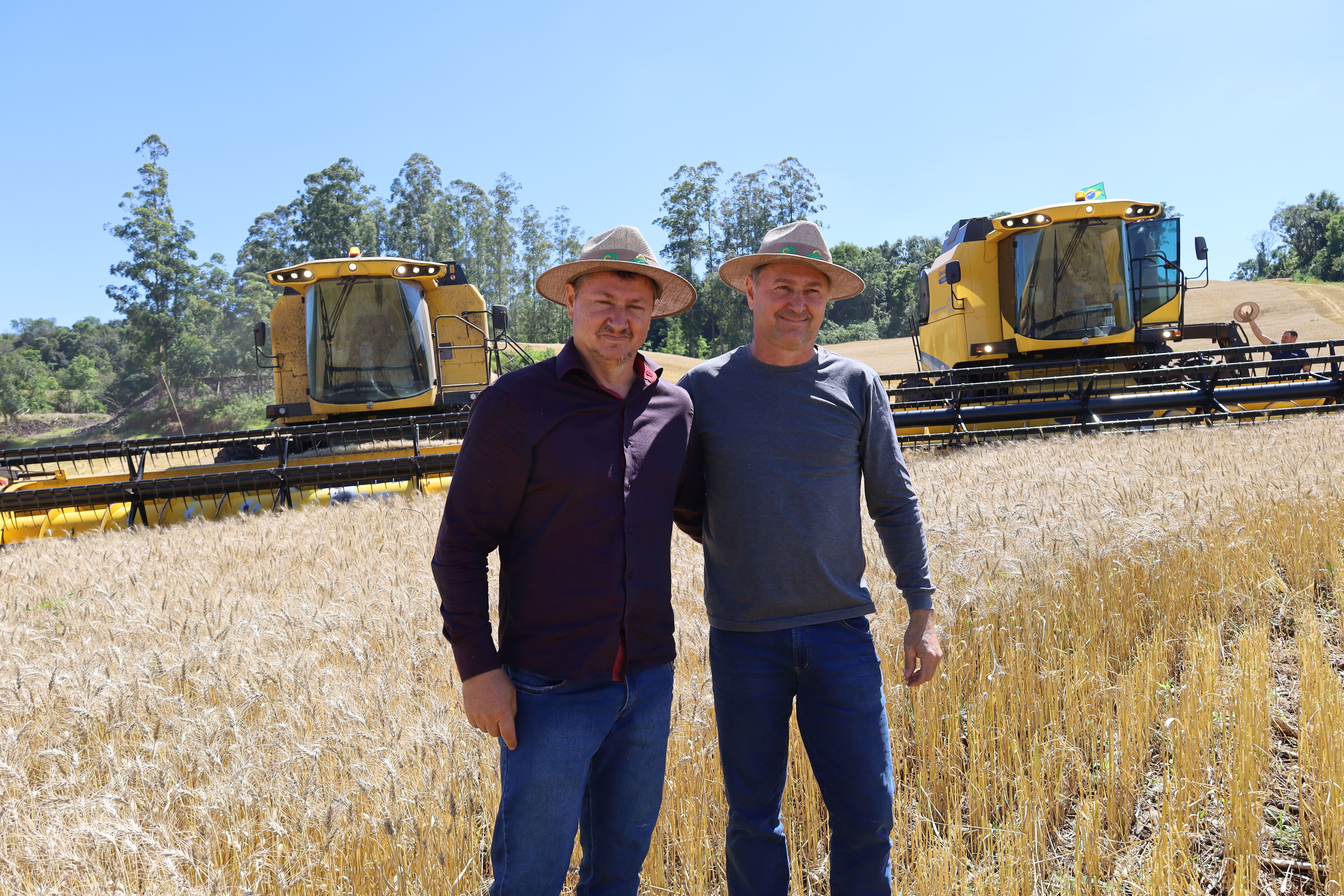 Safra Dourada da fam&iacute;lia Miotto