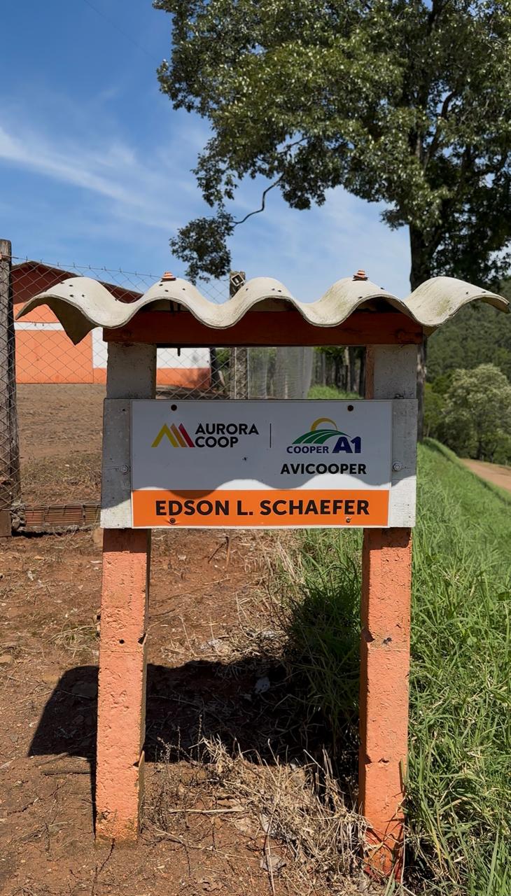 AVICULTURA: Destaque do mês de setembro